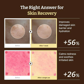 Dr. Reju-All Advanced PDRN Rejuvenating Cream Max