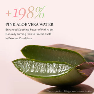 APRILSKIN – Pink Aloe Pack Cleanser, 120g