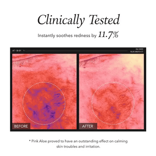 APRILSKIN – Pink Aloe Pack Cleanser, 120g
